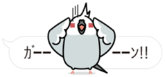 Message Cockatiel. sticker #8144465