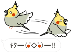 Message Cockatiel. sticker #8144466