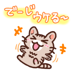 Hougen neko 5 (The Okinawa dialect)