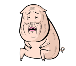 Three pigs sticker #8146405