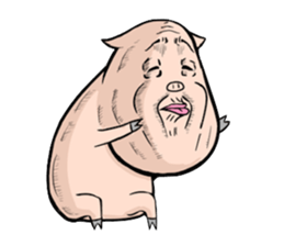 Three pigs sticker #8146412