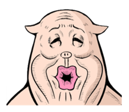 Three pigs sticker #8146413