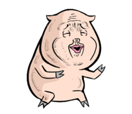 Three pigs sticker #8146415