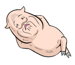 Three pigs sticker #8146437