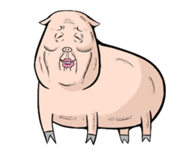 Three pigs sticker #8146441