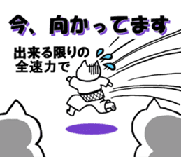 Judo cat sticker #8147583