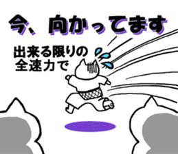 Judo cat sticker #8147583