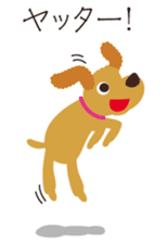 Happy Toypoodle sticker #8148612