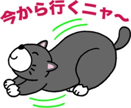 Stray cat POTEKURO sticker #8150202