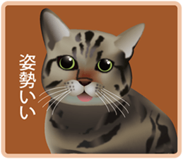 Your lovely cat is thinking of you sticker #8150367