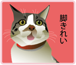 Your lovely cat is thinking of you sticker #8150368