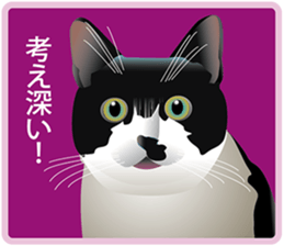 Your lovely cat is thinking of you sticker #8150369