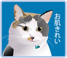 Your lovely cat is thinking of you sticker #8150372