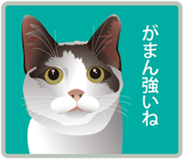 Your lovely cat is thinking of you sticker #8150377