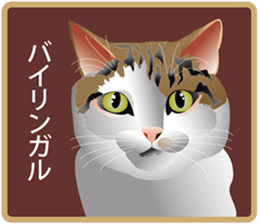 Your lovely cat is thinking of you sticker #8150379