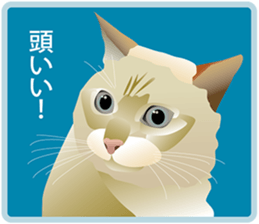 Your lovely cat is thinking of you sticker #8150380