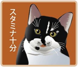 Your lovely cat is thinking of you sticker #8150383