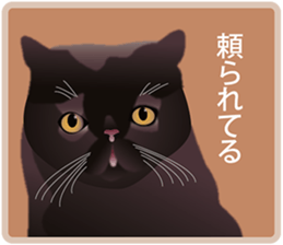 Your lovely cat is thinking of you sticker #8150385