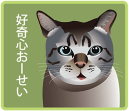 Your lovely cat is thinking of you sticker #8150387
