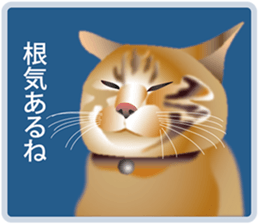 Your lovely cat is thinking of you sticker #8150390