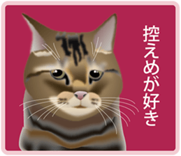 Your lovely cat is thinking of you sticker #8150395