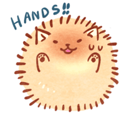 Cute fluffy Pomeranian sticker #8154006