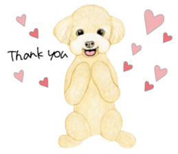 Poodle sticker ! sticker #8162087