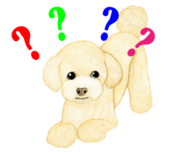 Poodle sticker ! sticker #8162091