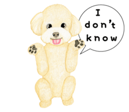 Poodle sticker ! sticker #8162098