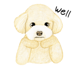 Poodle sticker ! sticker #8162101