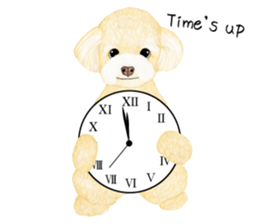 Poodle sticker ! sticker #8162123