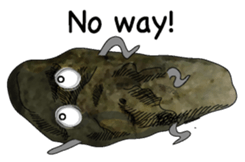 Roadside Stones English sticker #8163894