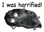 Roadside Stones English sticker #8163904