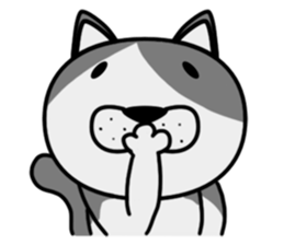 Stray cat "Nyan Tato" Not text sticker #8163972