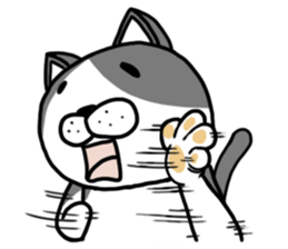 Stray cat "Nyan Tato" Not text sticker #8163977