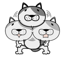 Stray cat "Nyan Tato" Not text sticker #8163988