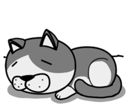 Stray cat "Nyan Tato" Not text sticker #8163994