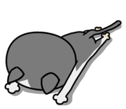 Stray cat "Nyan Tato" Not text sticker #8164003