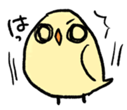 The yellow Java sparrow sticker #8164509