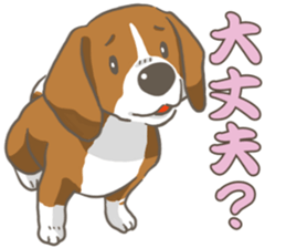 Wanko-Biyori Vol.2 Beagle sticker #8166525