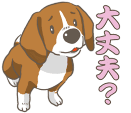 Wanko-Biyori Vol.2 Beagle sticker #8166525