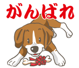 Wanko-Biyori Vol.2 Beagle sticker #8166531