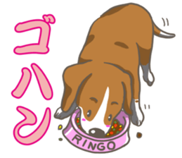 Wanko-Biyori Vol.2 Beagle sticker #8166534