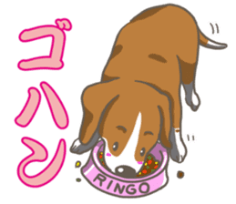 Wanko-Biyori Vol.2 Beagle sticker #8166534