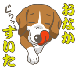 Wanko-Biyori Vol.2 Beagle sticker #8166536