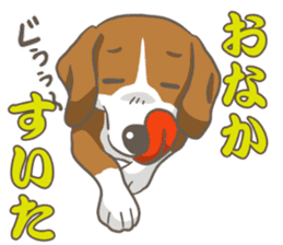 Wanko-Biyori Vol.2 Beagle sticker #8166536