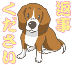 Wanko-Biyori Vol.2 Beagle sticker #8166538