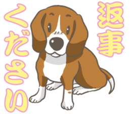 Wanko-Biyori Vol.2 Beagle sticker #8166538