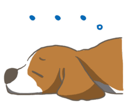 Wanko-Biyori Vol.2 Beagle sticker #8166546