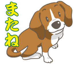 Wanko-Biyori Vol.2 Beagle sticker #8166551